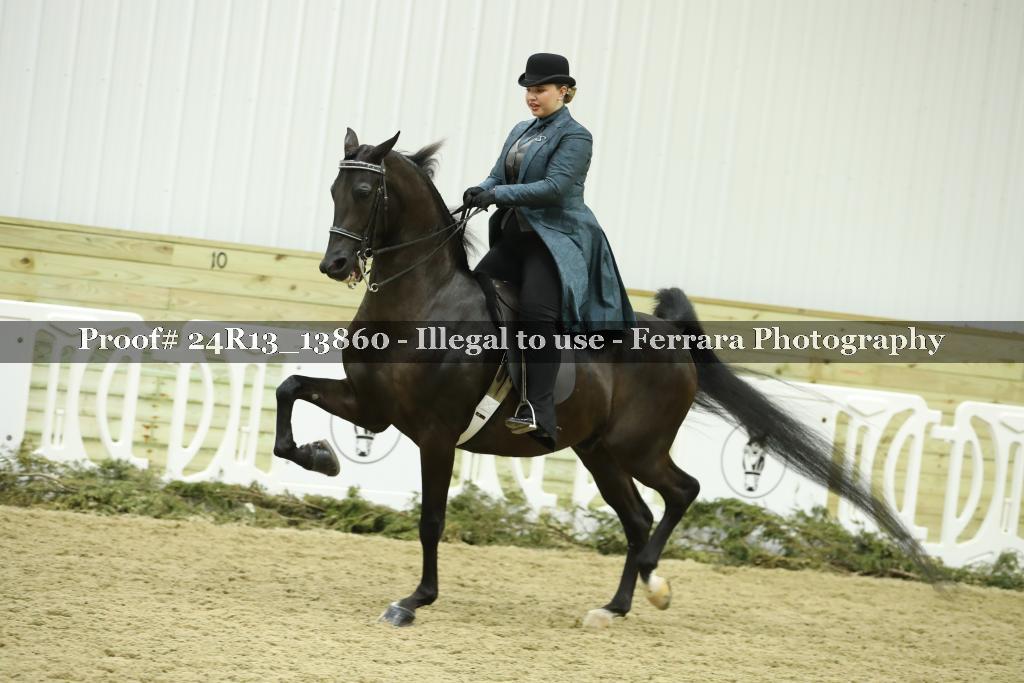 Proof 24R13_13860