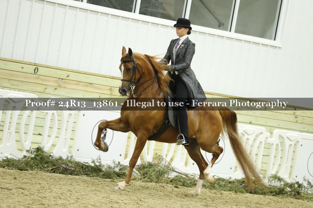 Proof 24R13_13861