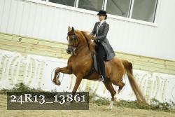 24R13_13861 proof