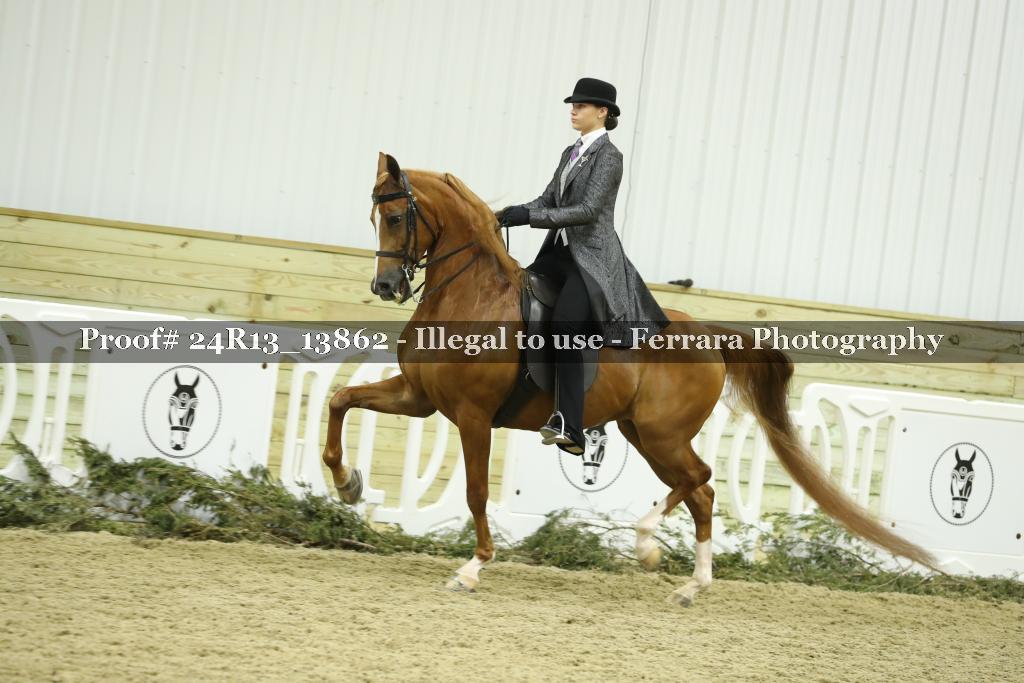 Proof 24R13_13862