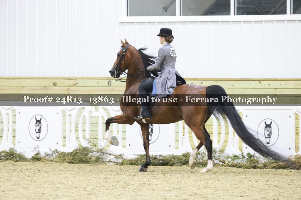 Proof 24R13_13863
