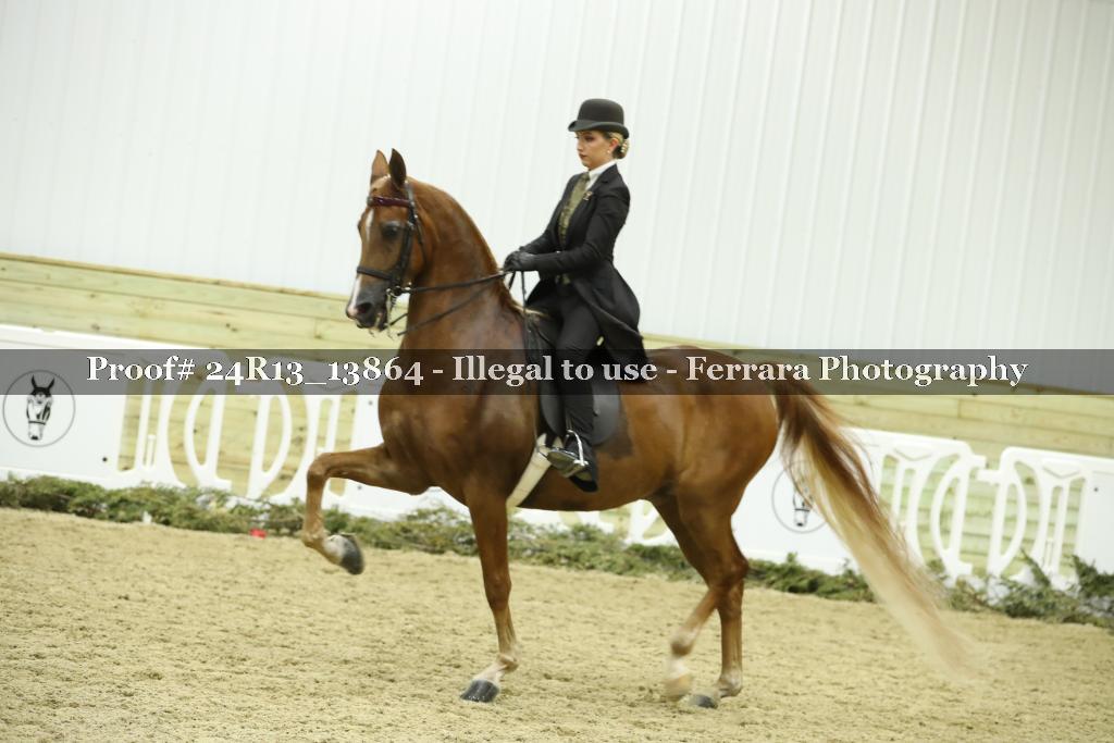 Proof 24R13_13864