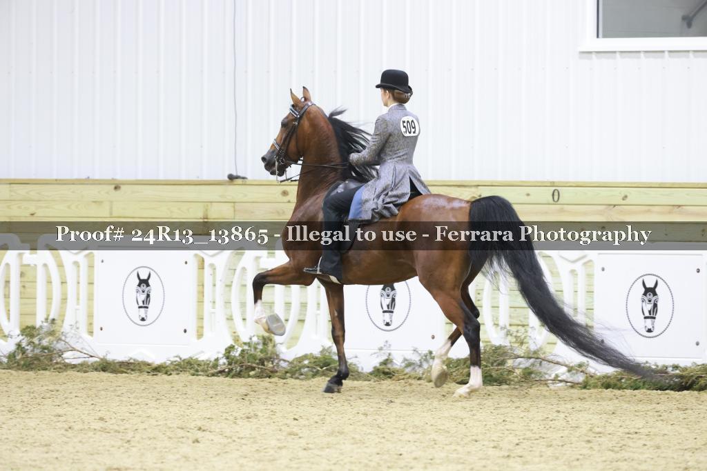 Proof 24R13_13865