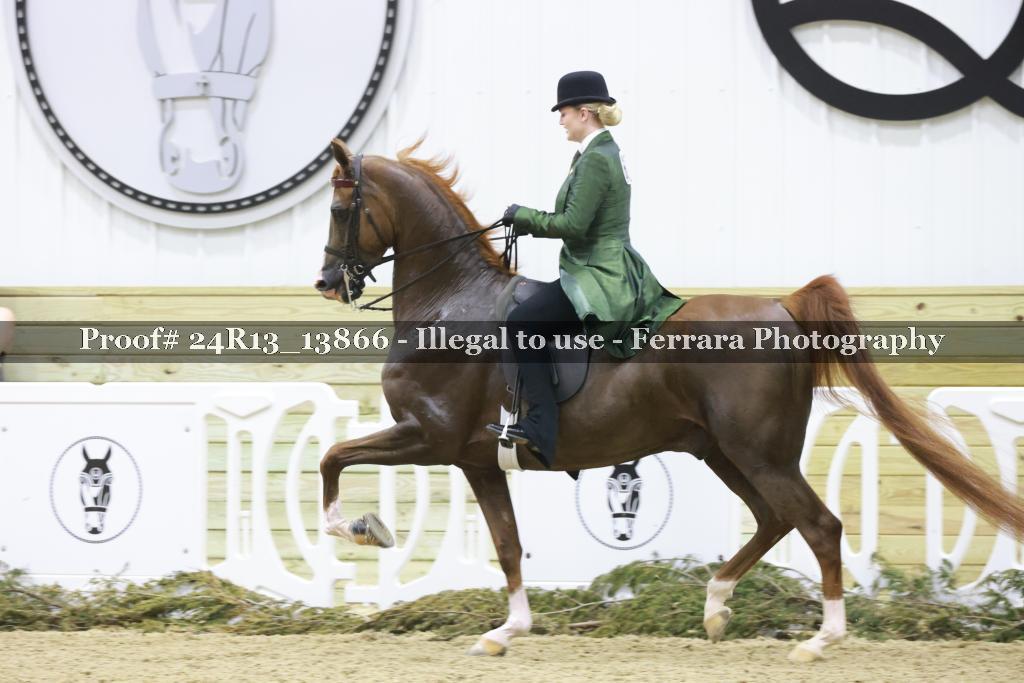 Proof 24R13_13866