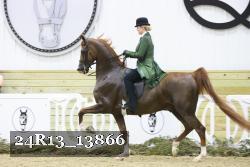 24R13_13866 proof