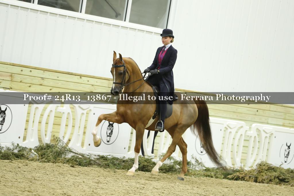 Proof 24R13_13867