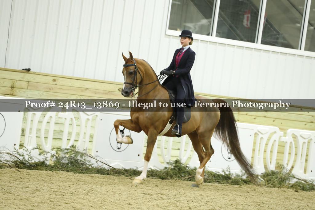 Proof 24R13_13869