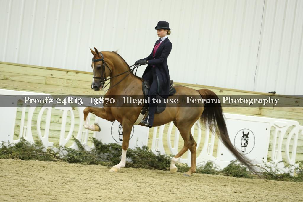 Proof 24R13_13870