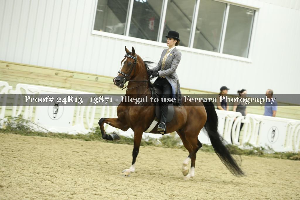 Proof 24R13_13871