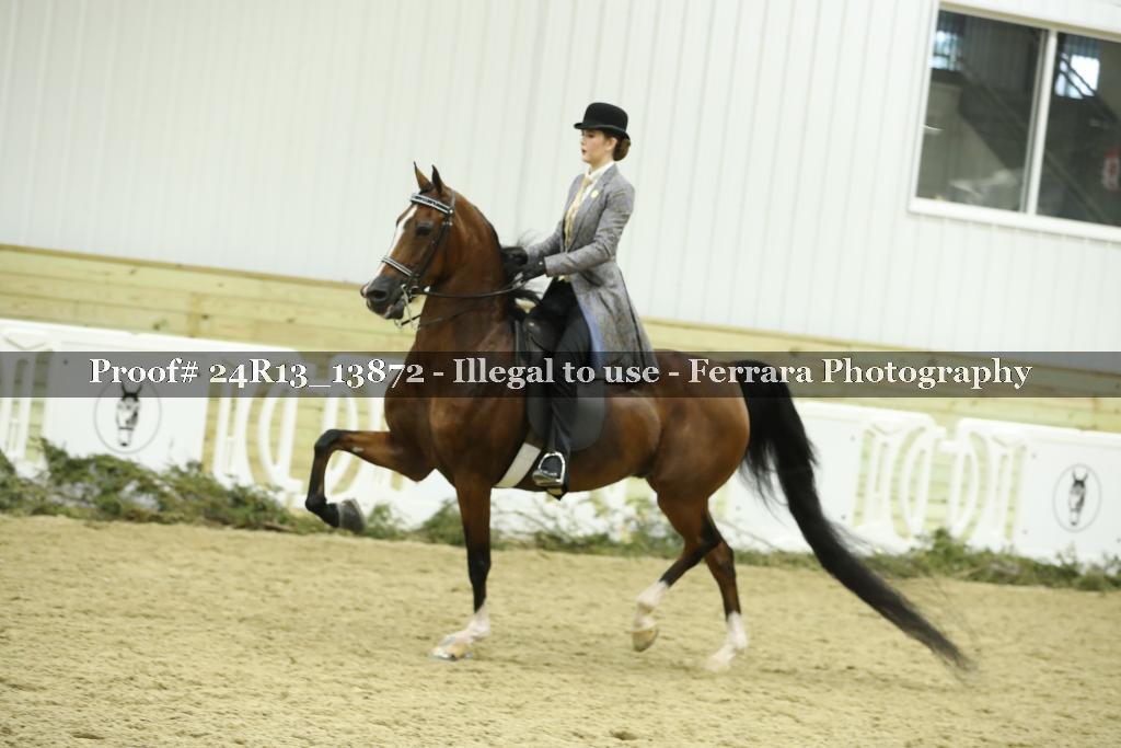 Proof 24R13_13872