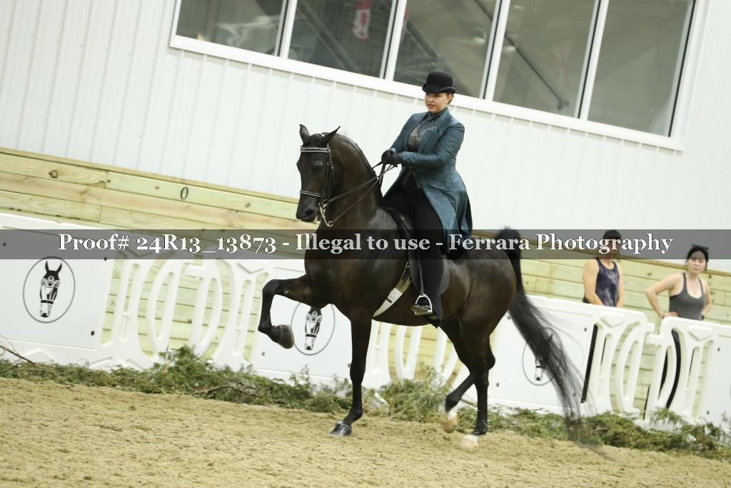 Proof 24R13_13873