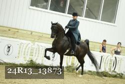 24R13_13873 proof