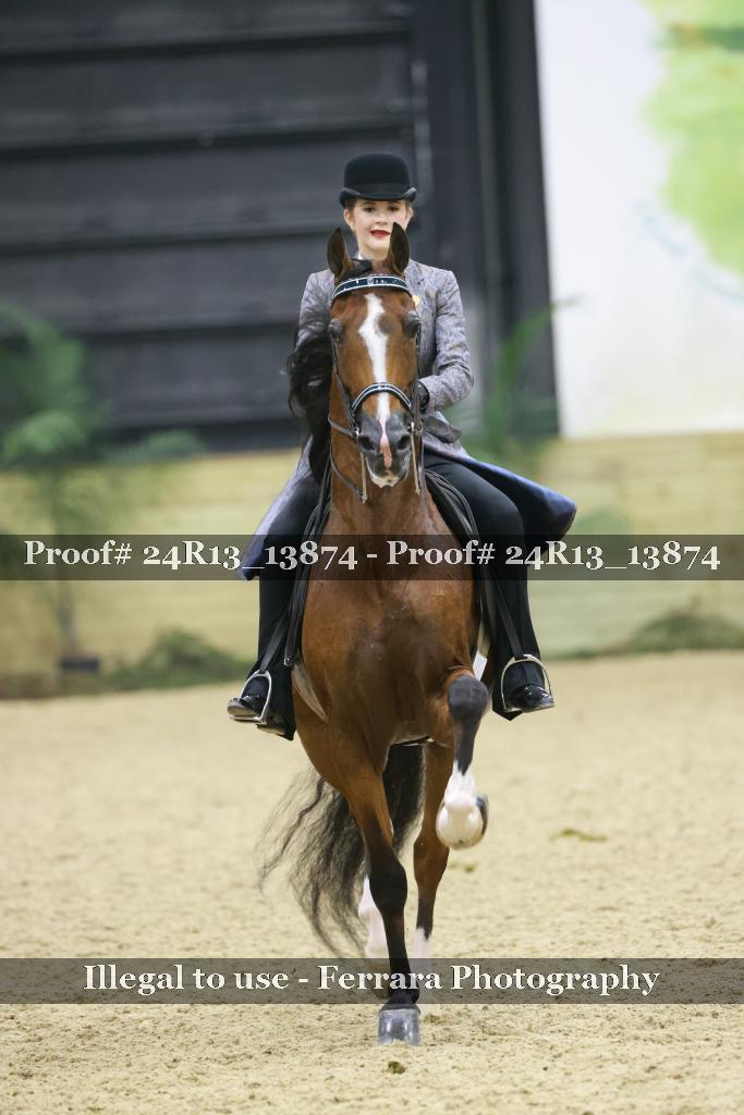 Proof 24R13_13874