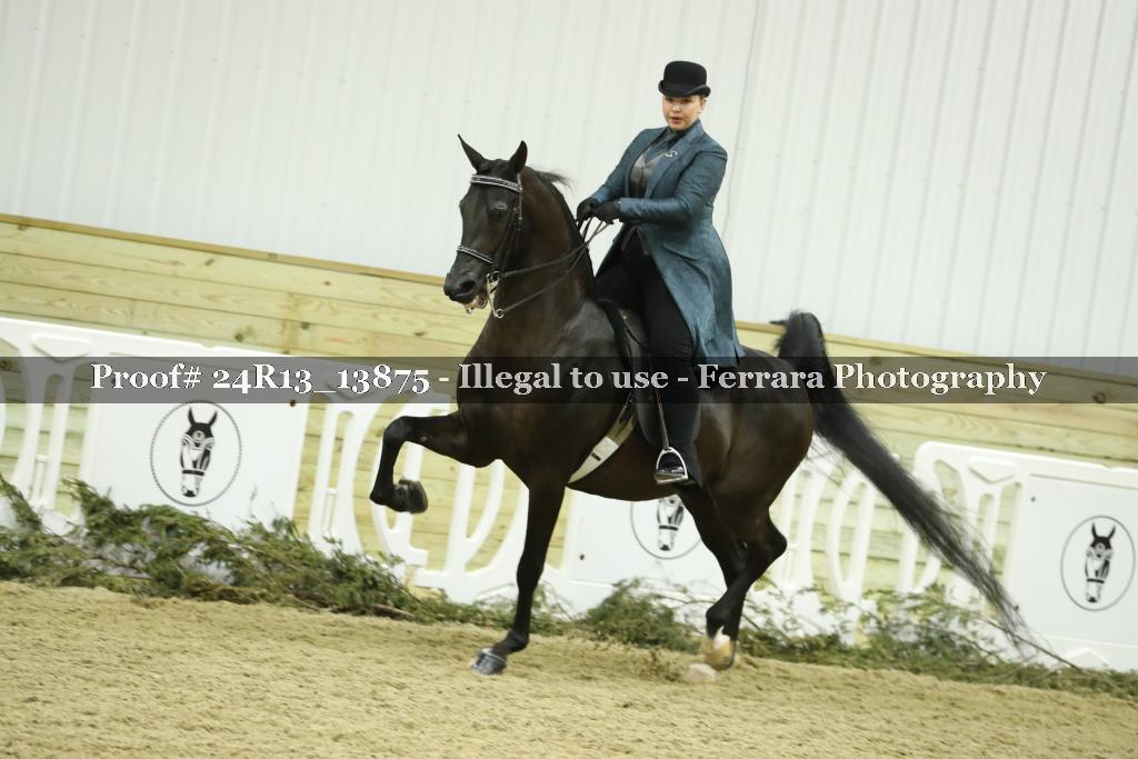 Proof 24R13_13875