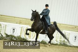 24R13_13875 proof
