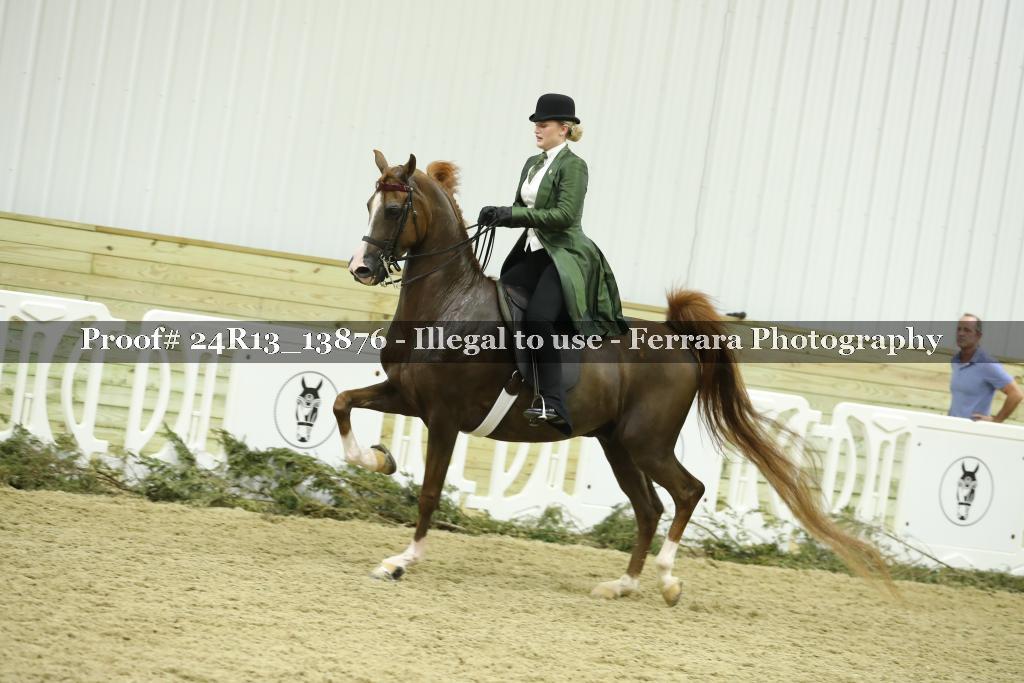 Proof 24R13_13876
