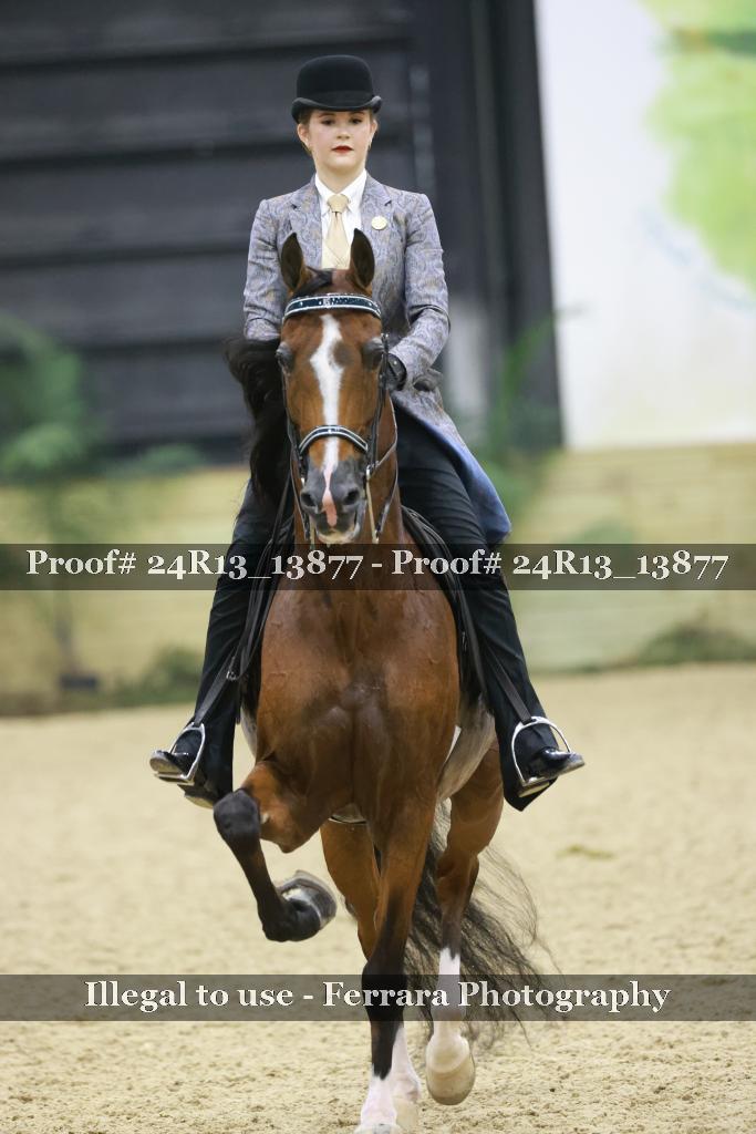 Proof 24R13_13877