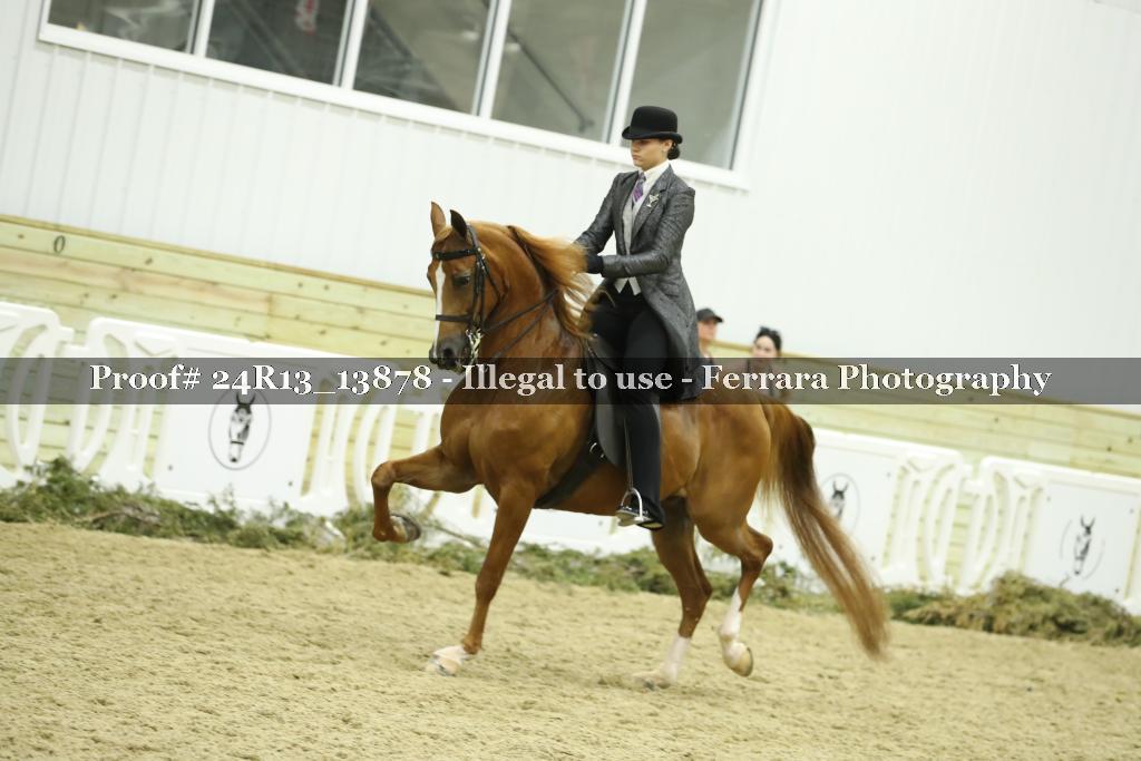 Proof 24R13_13878