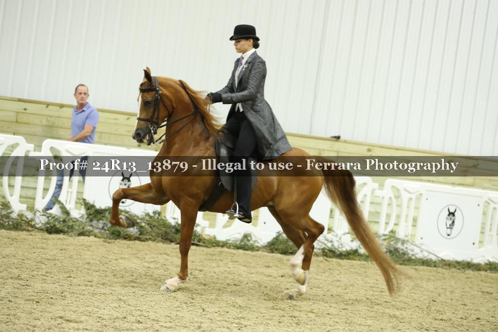 Proof 24R13_13879