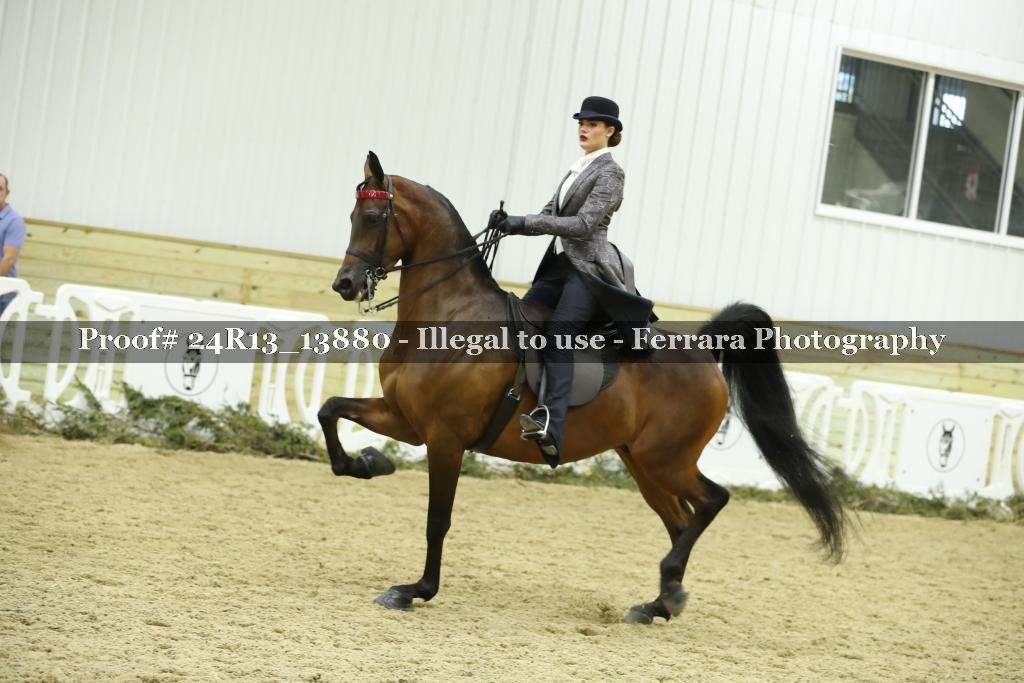 Proof 24R13_13880
