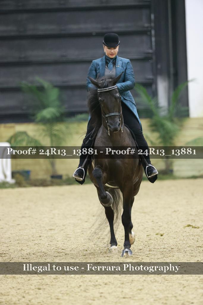 Proof 24R13_13881