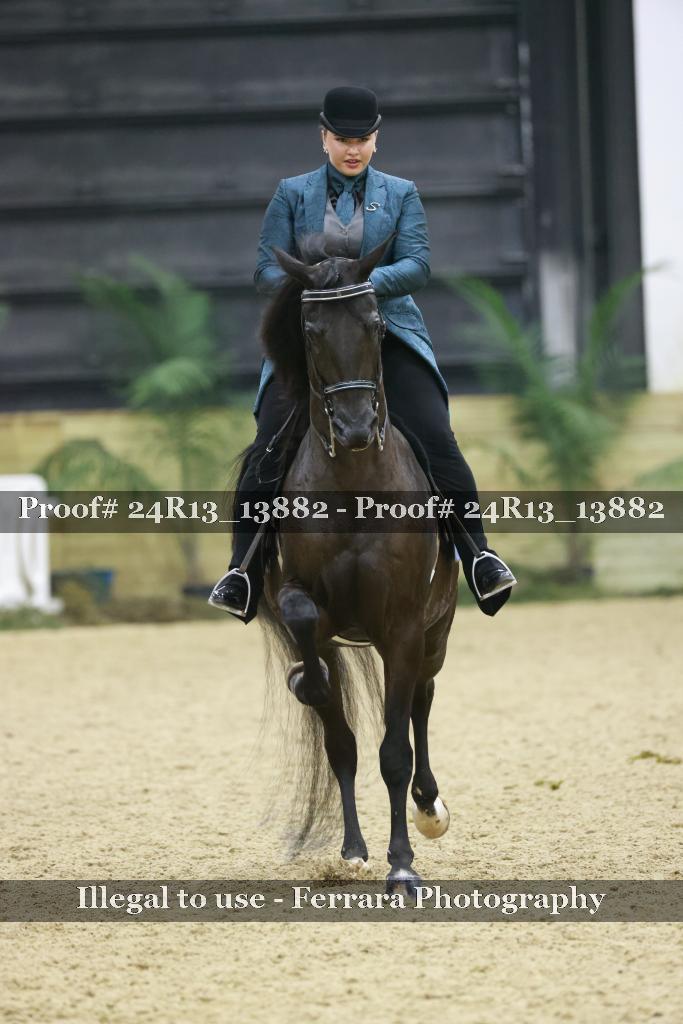 Proof 24R13_13882