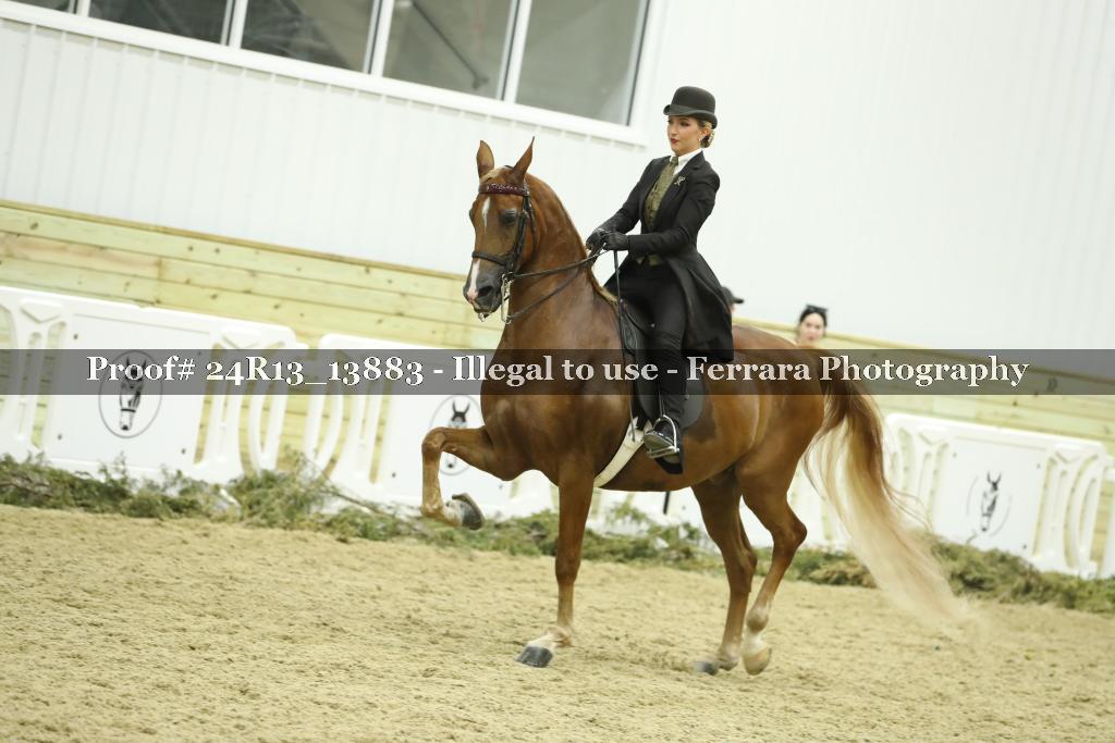 Proof 24R13_13883