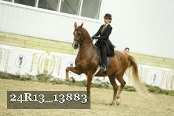 24R13_13883 proof