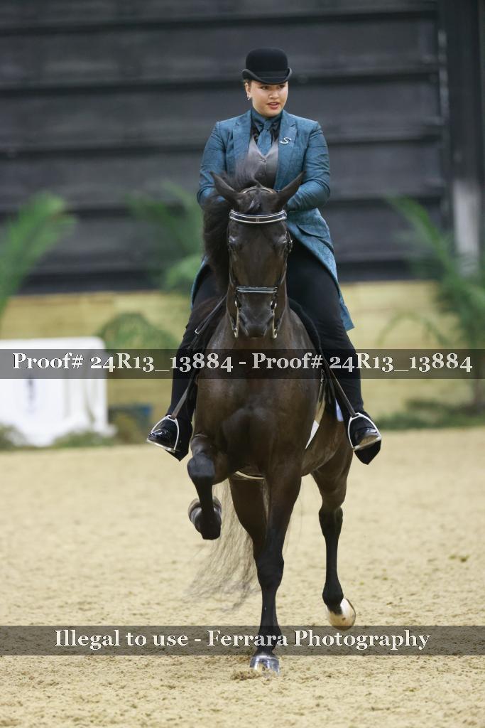 Proof 24R13_13884