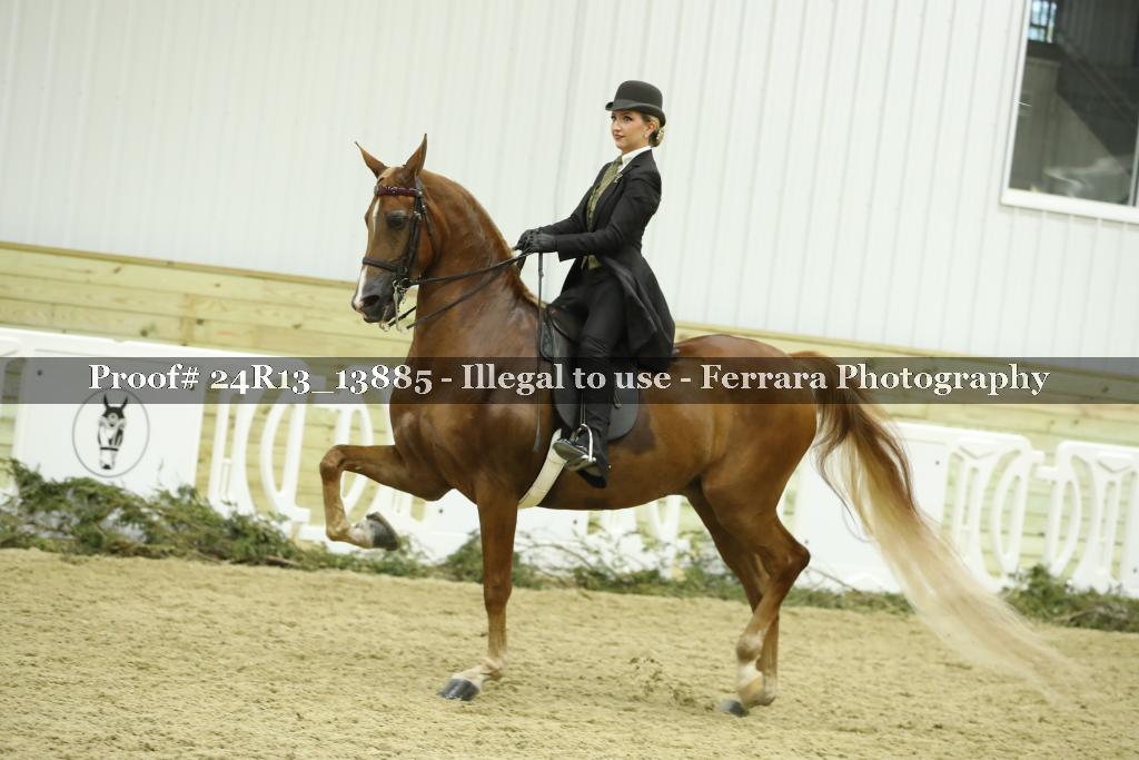 Proof 24R13_13885