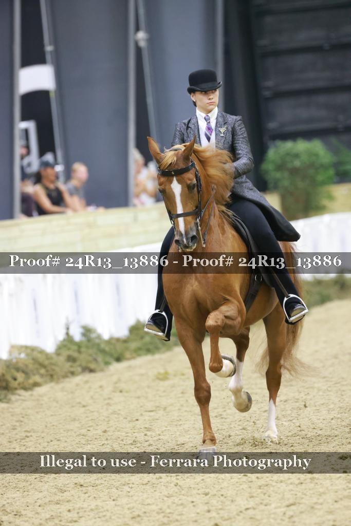 Proof 24R13_13886