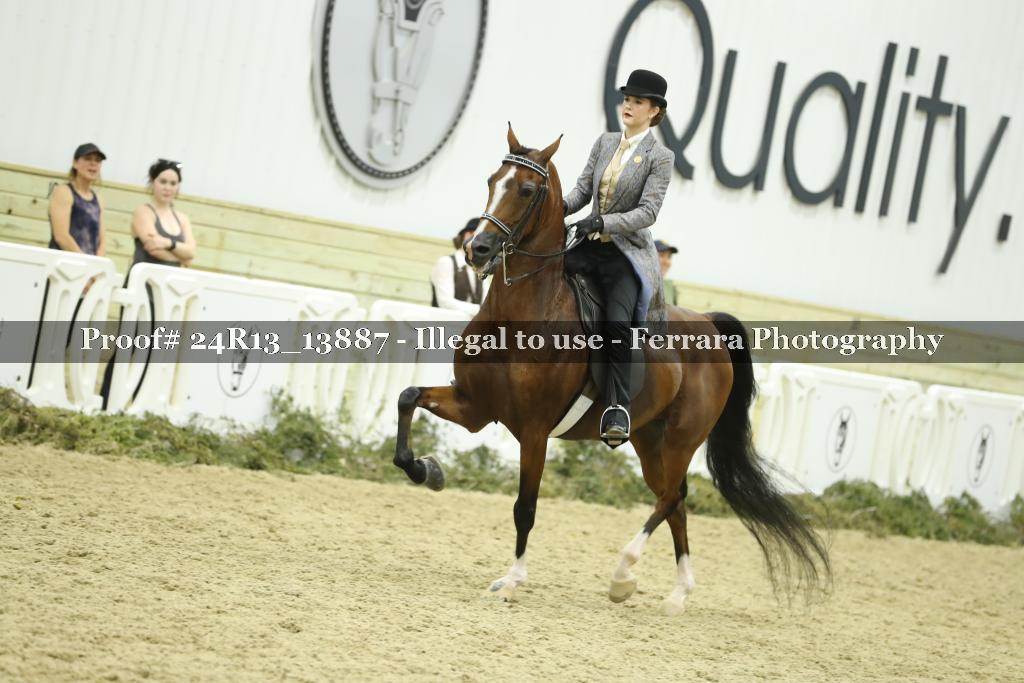 Proof 24R13_13887
