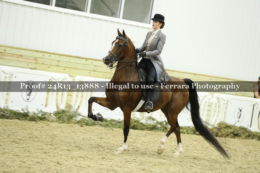 Proof 24R13_13888
