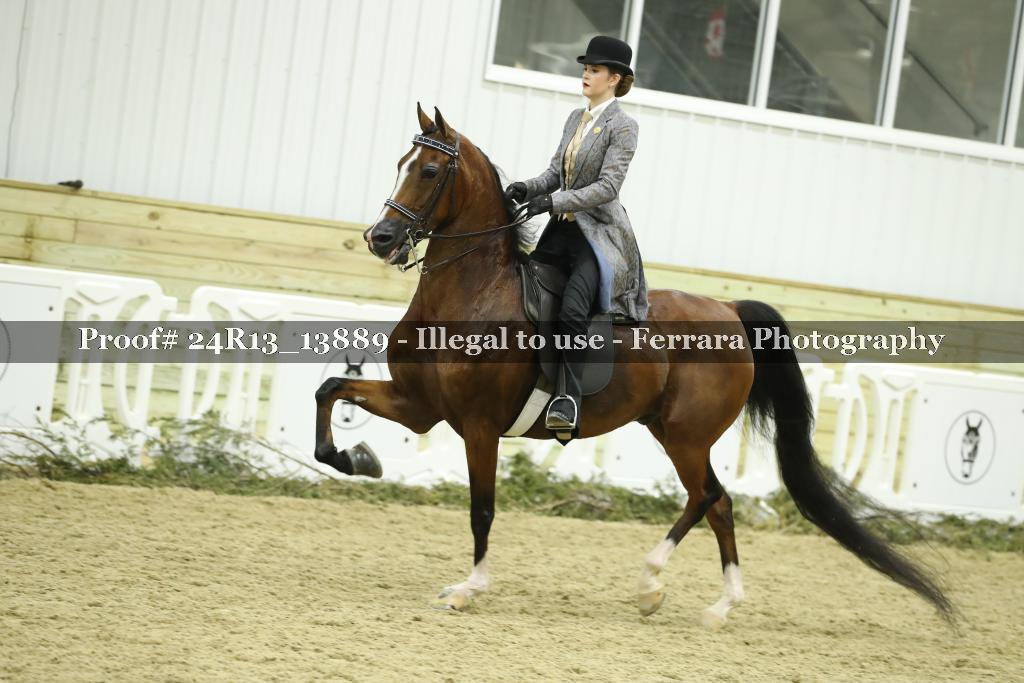 Proof 24R13_13889