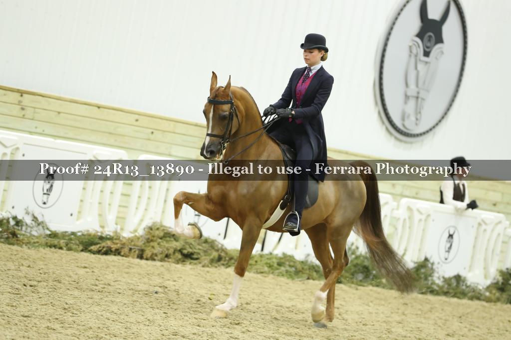 Proof 24R13_13890