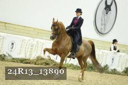 24R13_13890 proof