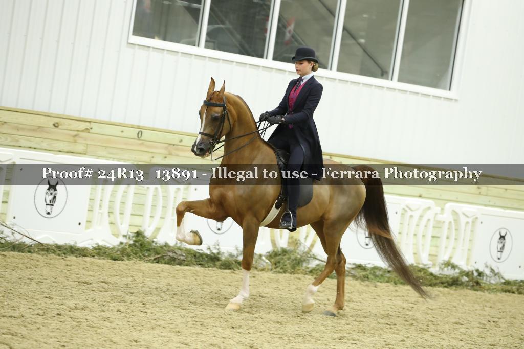 Proof 24R13_13891