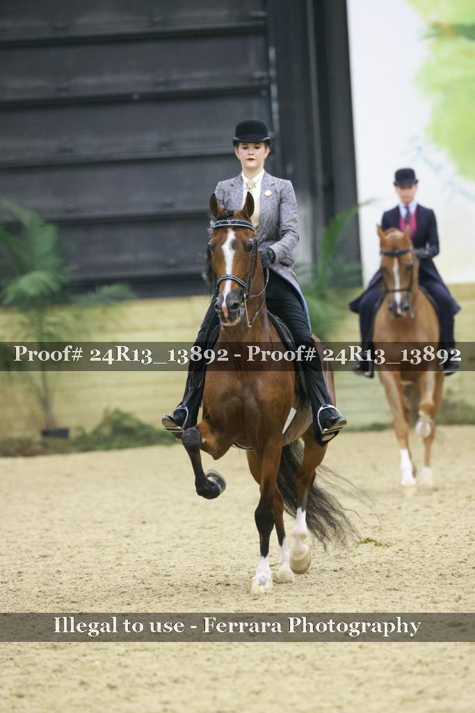 Proof 24R13_13892