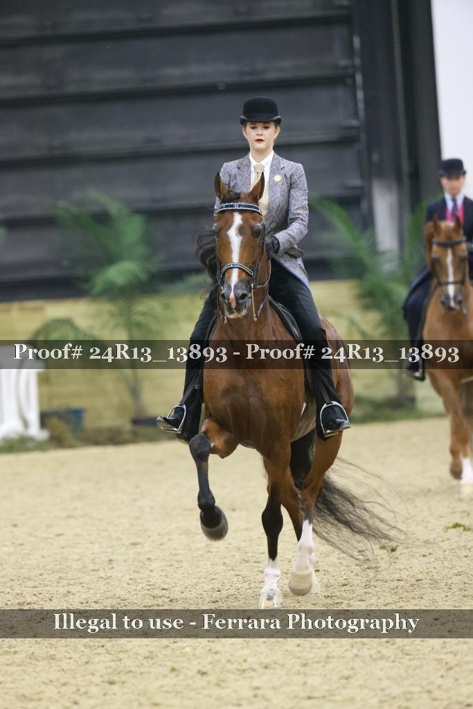 Proof 24R13_13893
