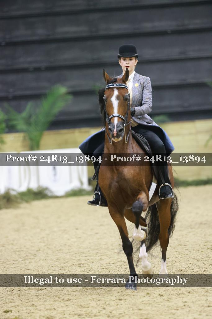 Proof 24R13_13894