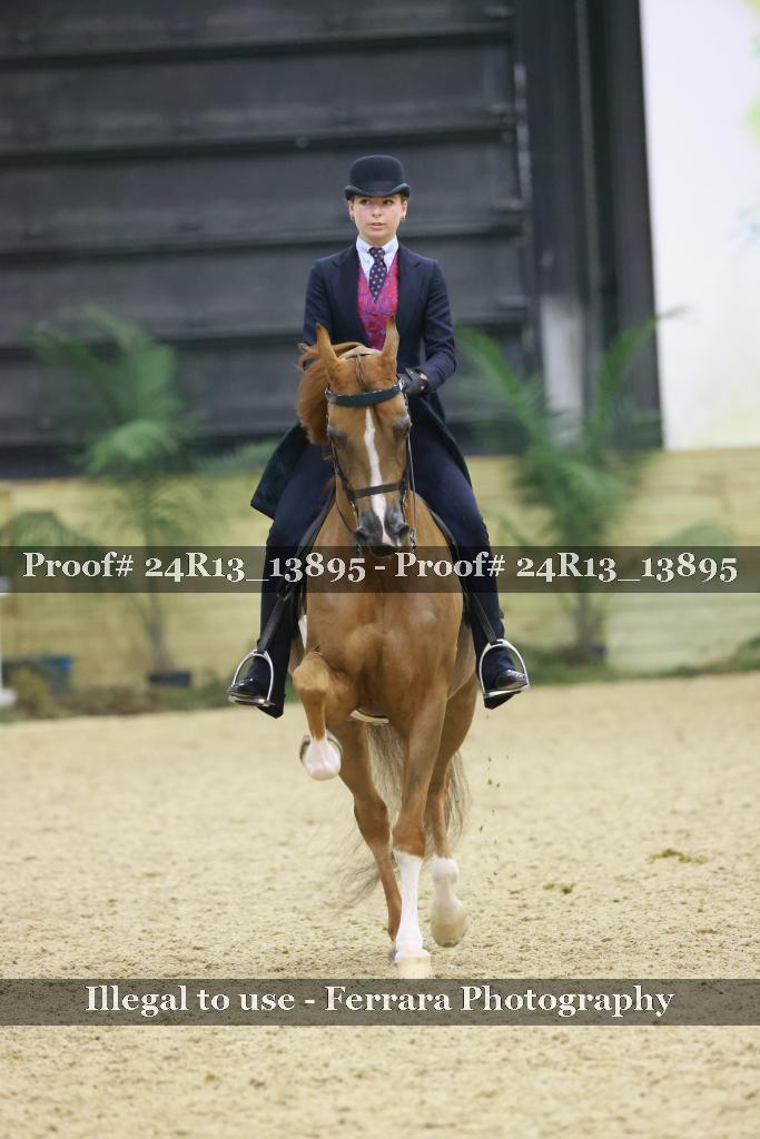 Proof 24R13_13895