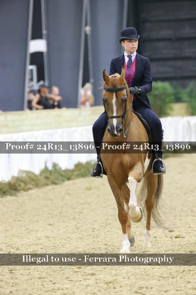 Proof 24R13_13896