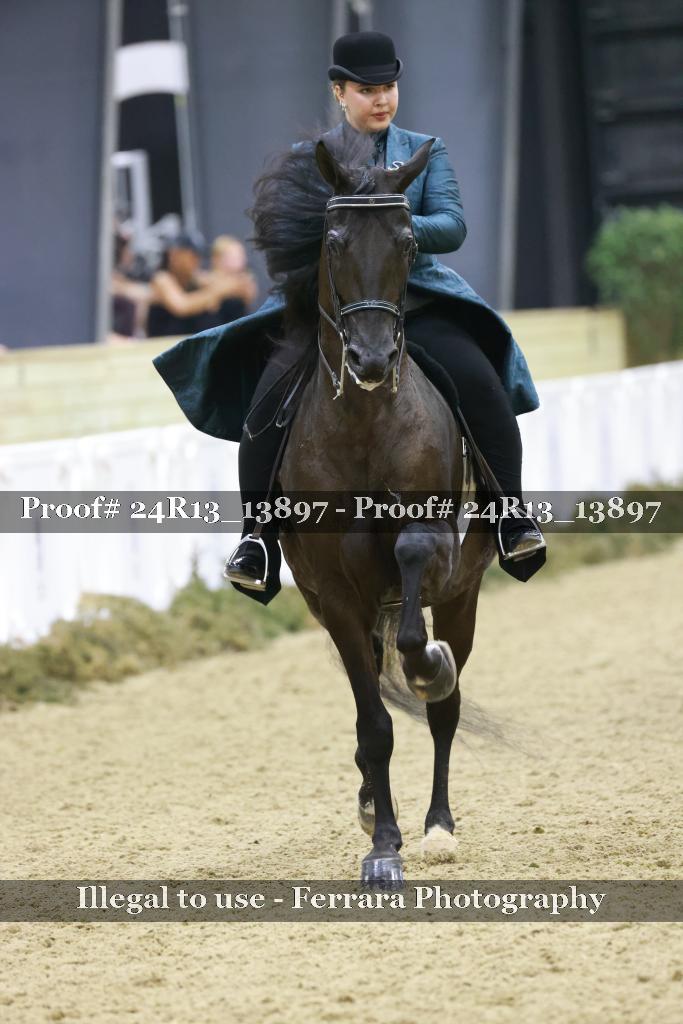 Proof 24R13_13897