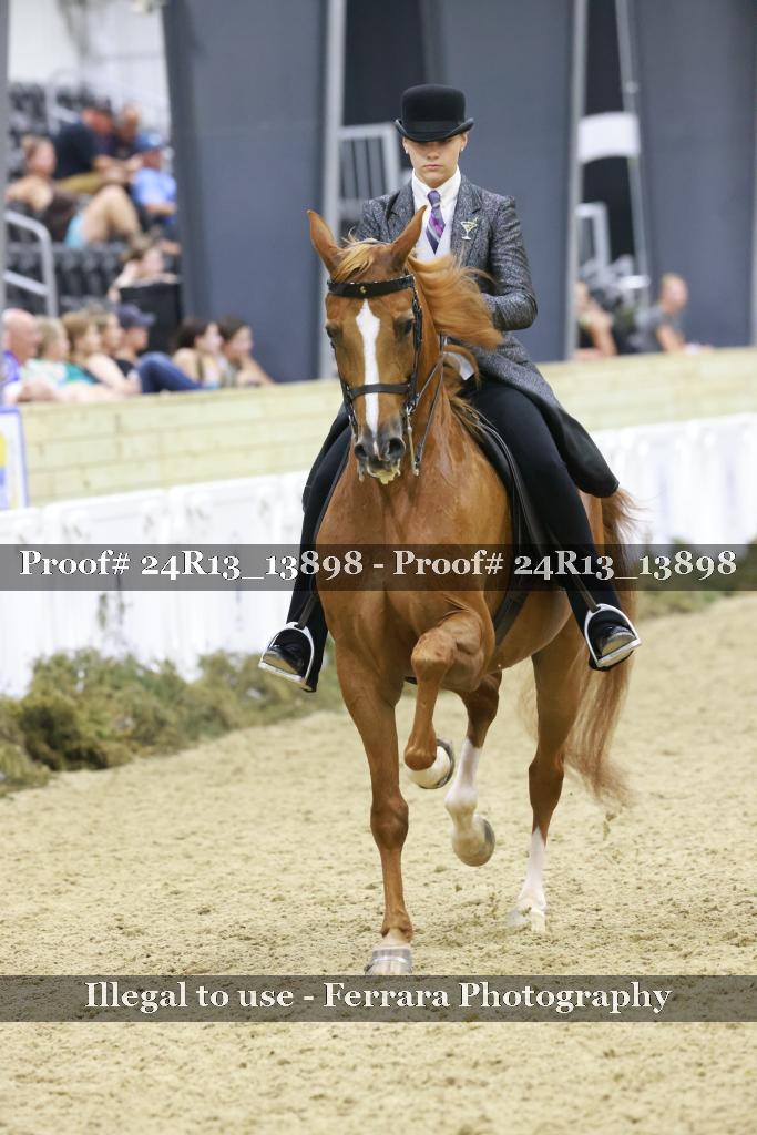 Proof 24R13_13898
