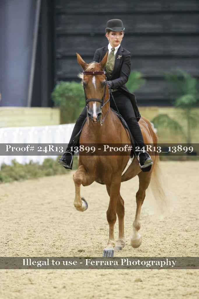 Proof 24R13_13899