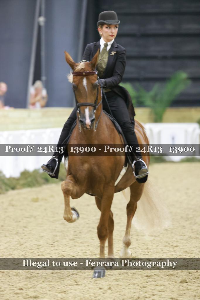 Proof 24R13_13900