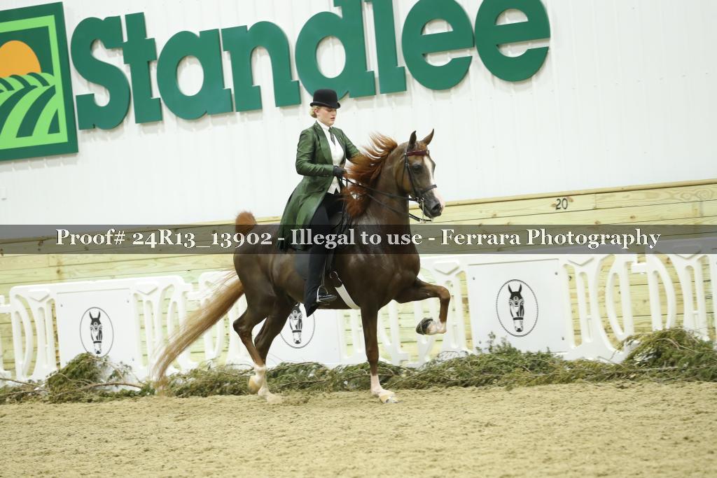 Proof 24R13_13902