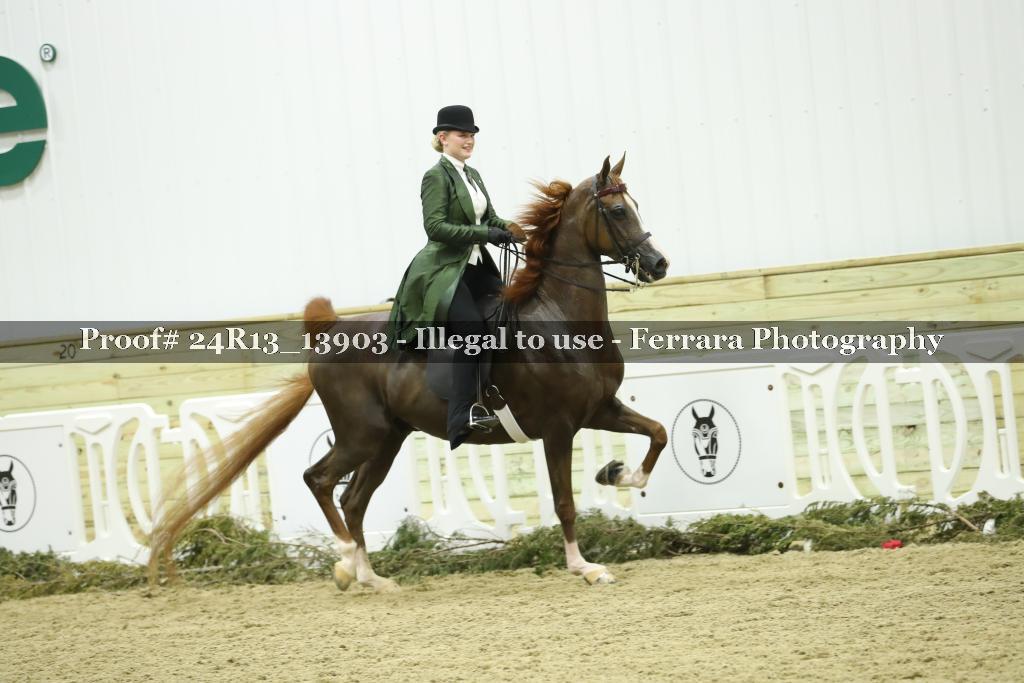 Proof 24R13_13903