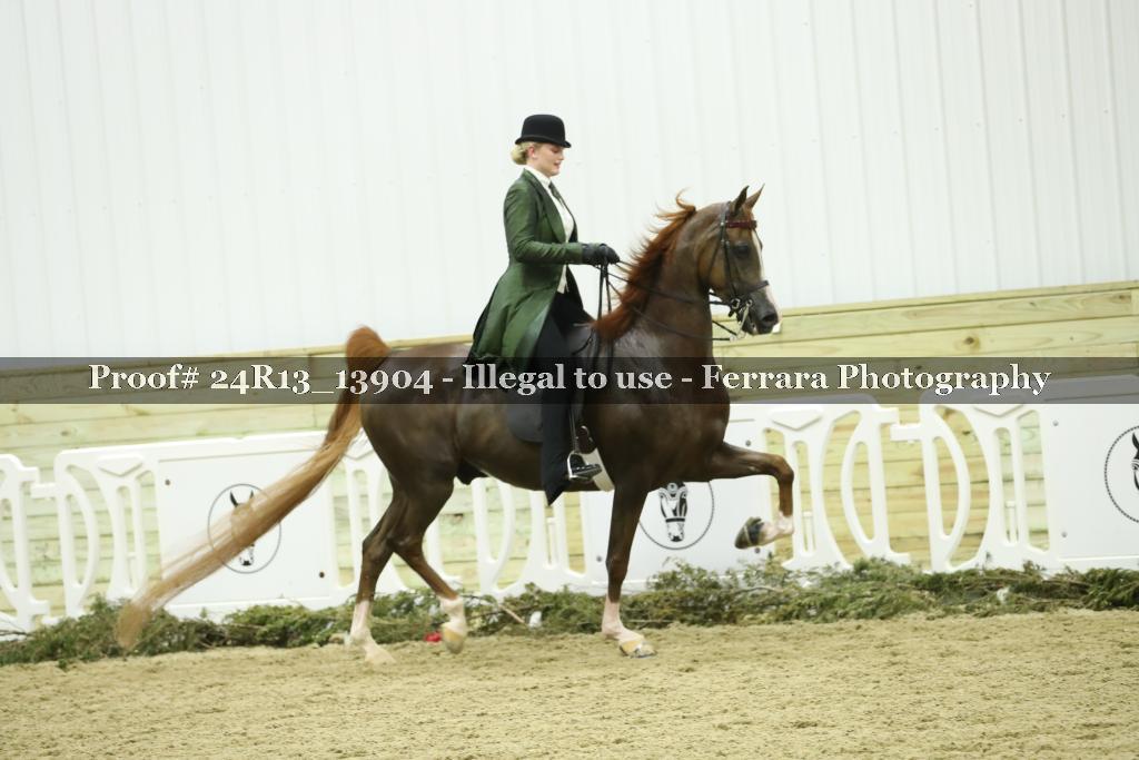Proof 24R13_13904