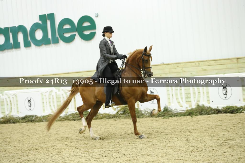 Proof 24R13_13905